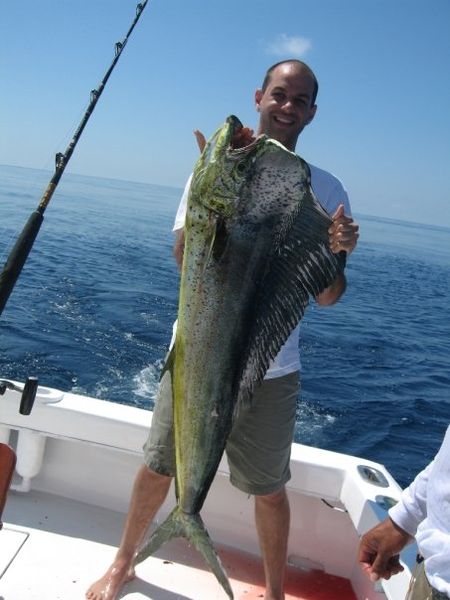 450px-Mahi_mahi_costa_rica